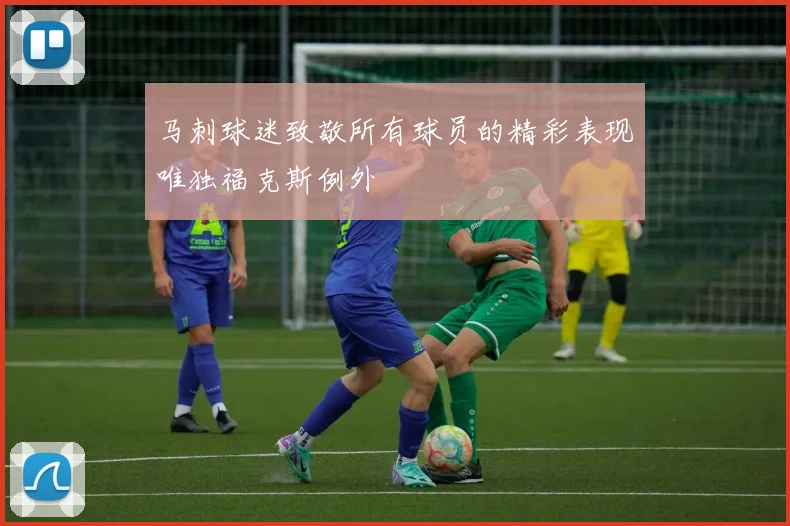 马刺球迷致敬所有球员的精彩表现唯独福克斯例外